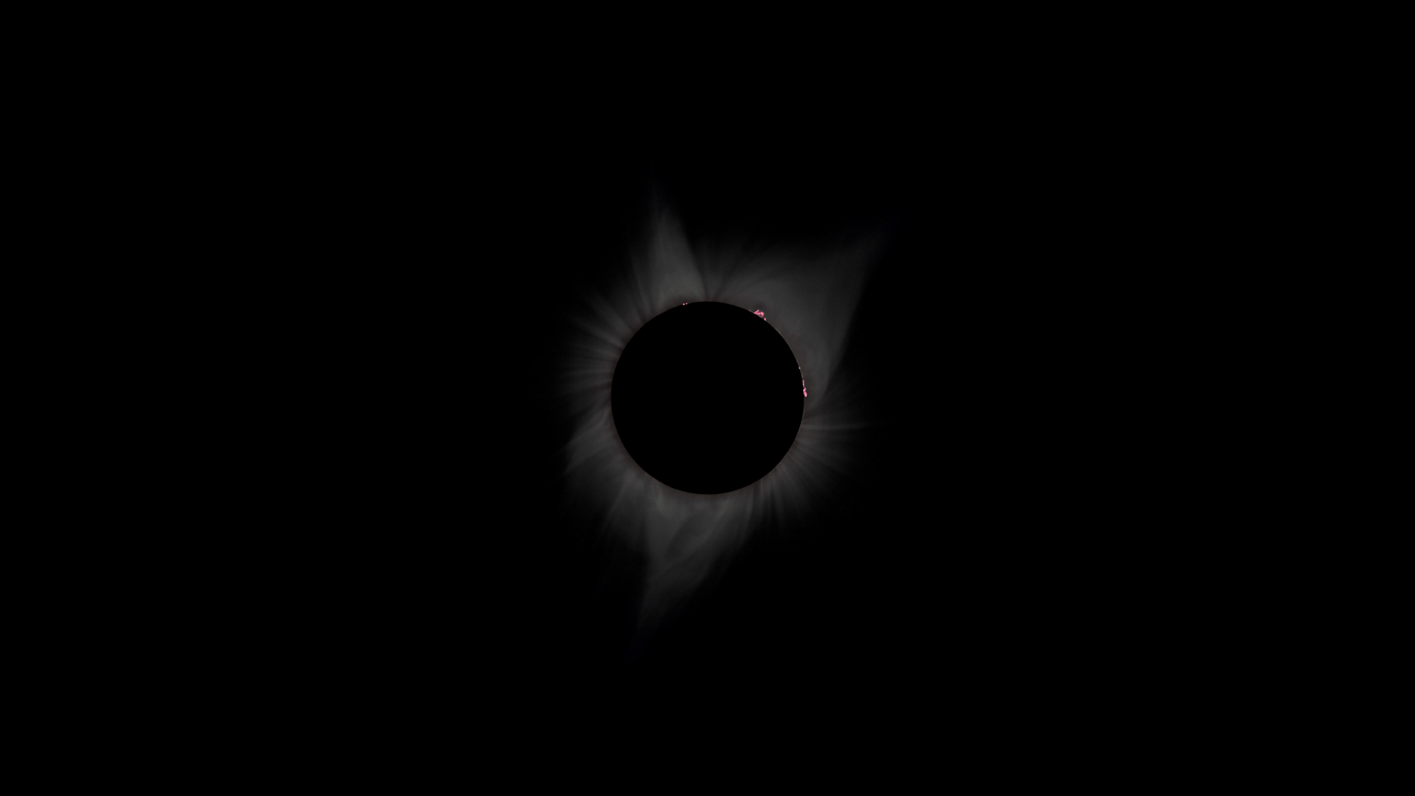 meng-he-brewgorithm-eclipse